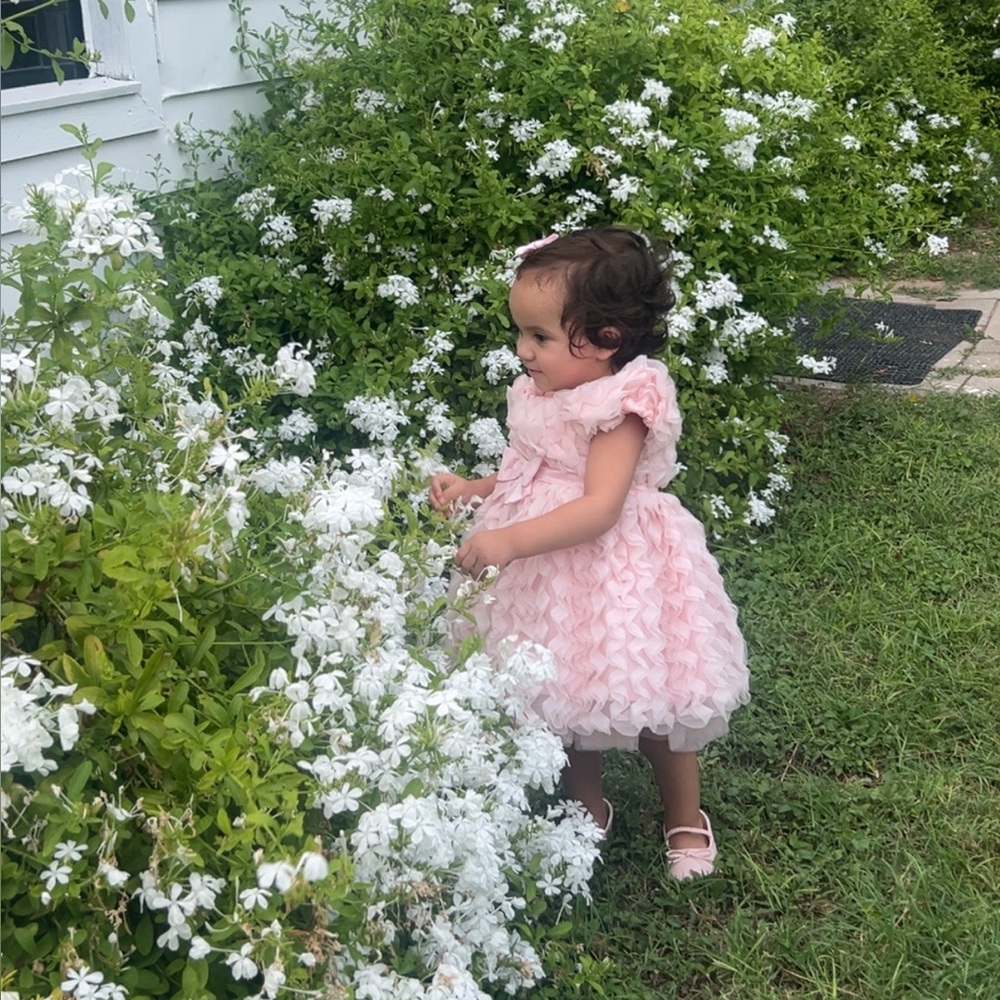 Meet your Posher, Lilly